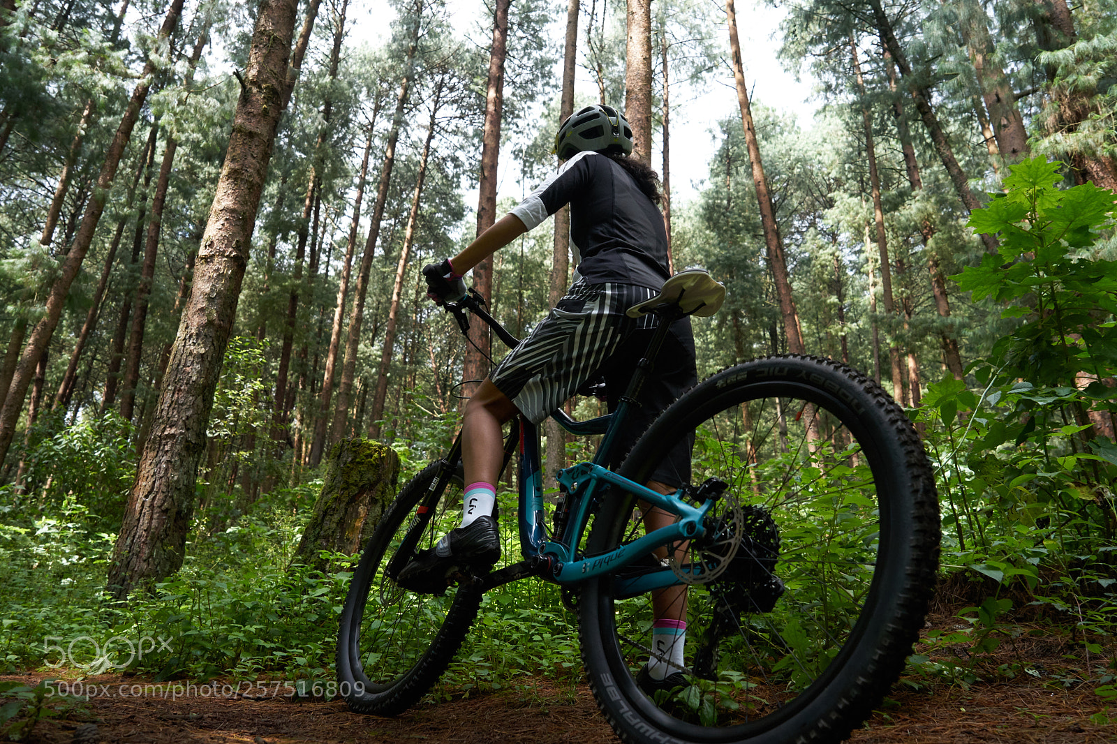 Sony a7 II sample photo. Getting into the adventure photography