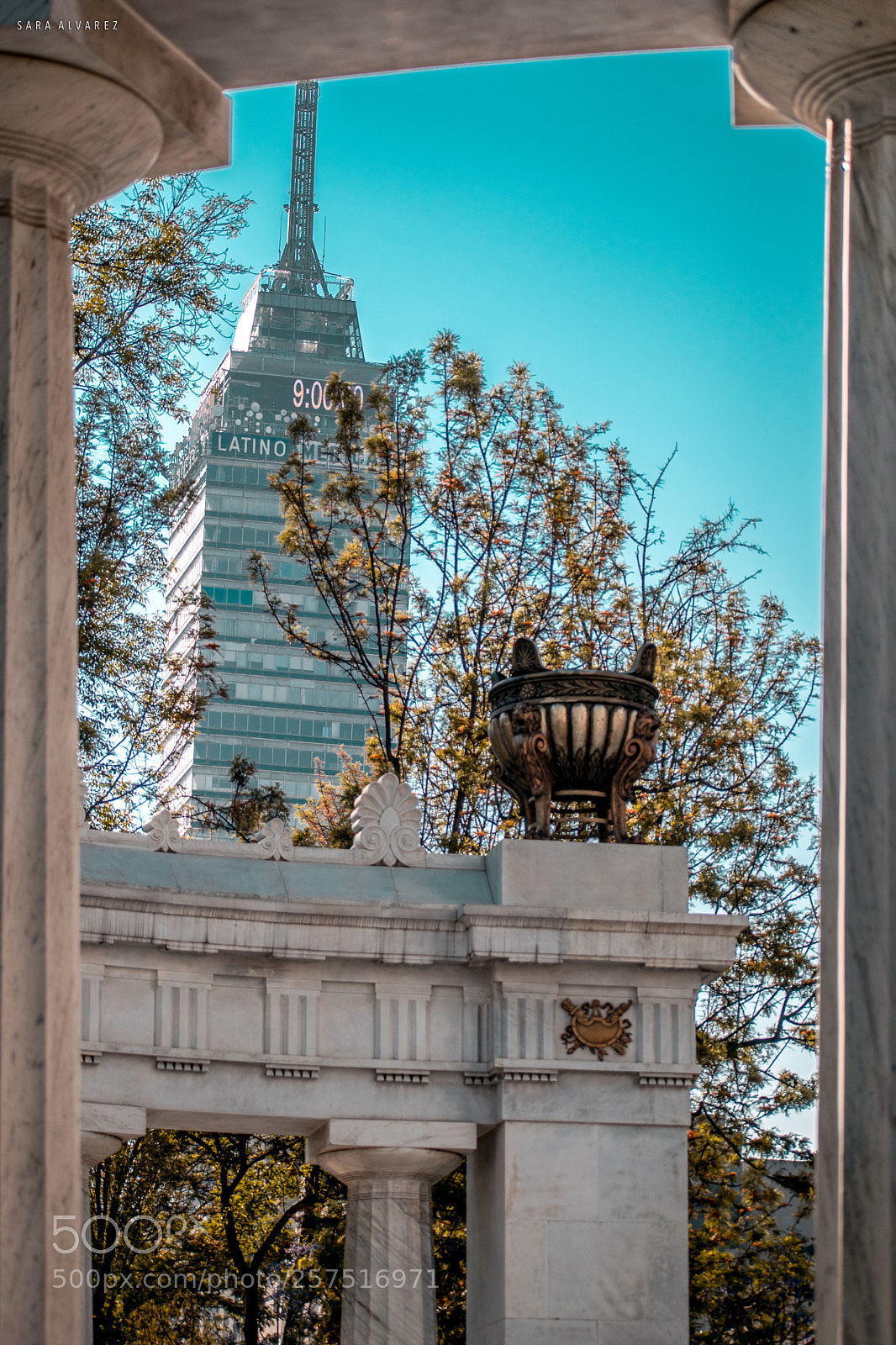 Nikon D3300 sample photo. Untitled photography