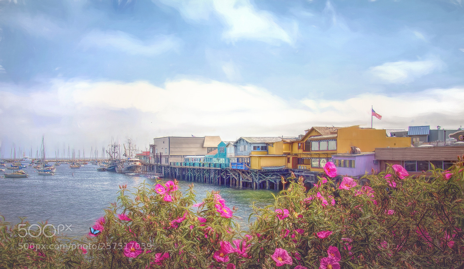 Canon EOS 70D sample photo. Monterey's fishermans wharf photography