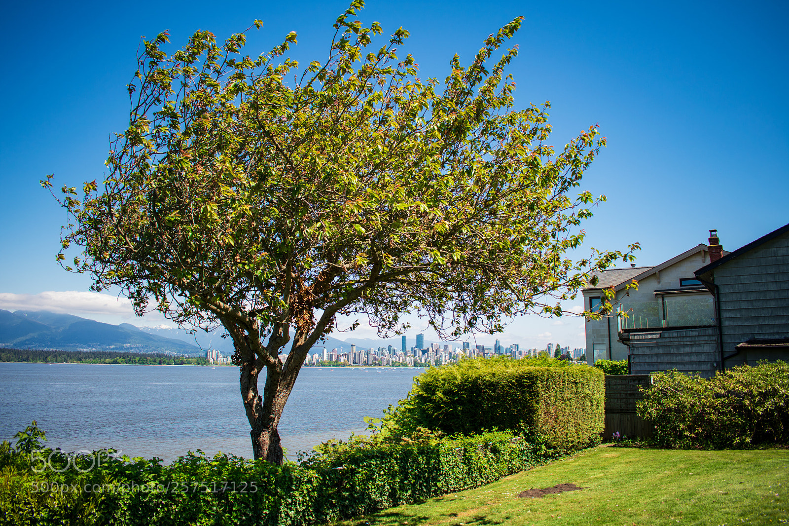 Nikon D3400 sample photo. City in between photography