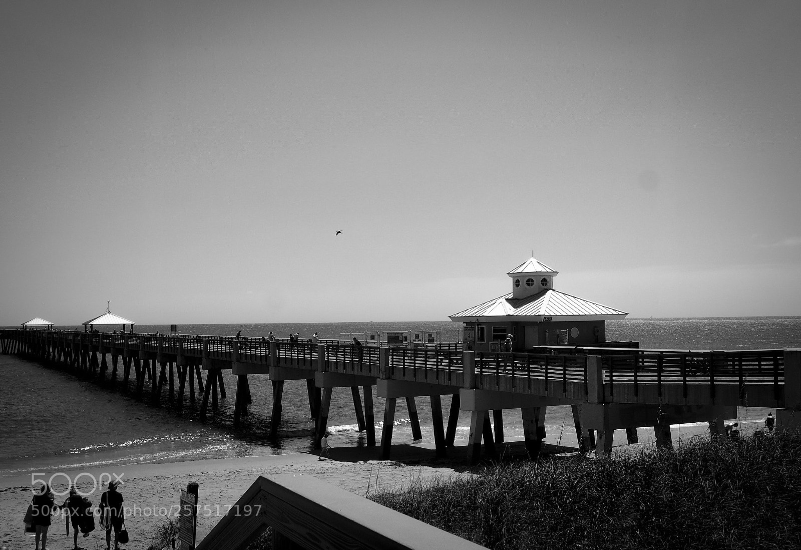Olympus OM-D E-M10 sample photo. Pier photography