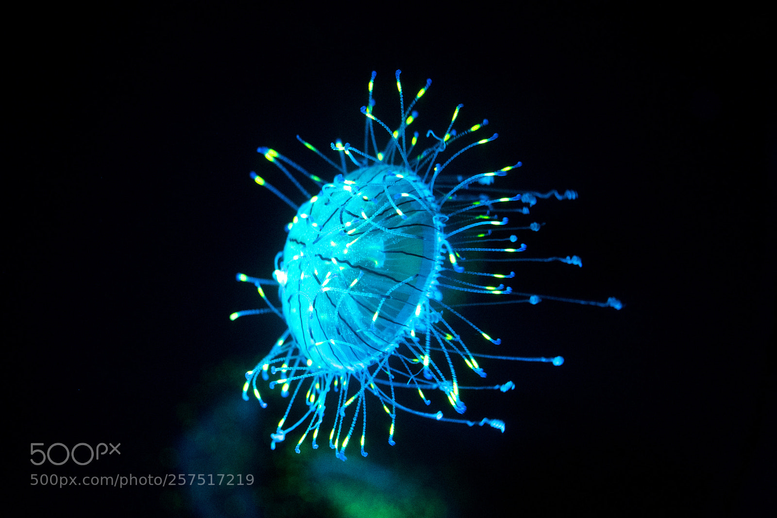 Nikon D7200 sample photo. Piece of blue photography