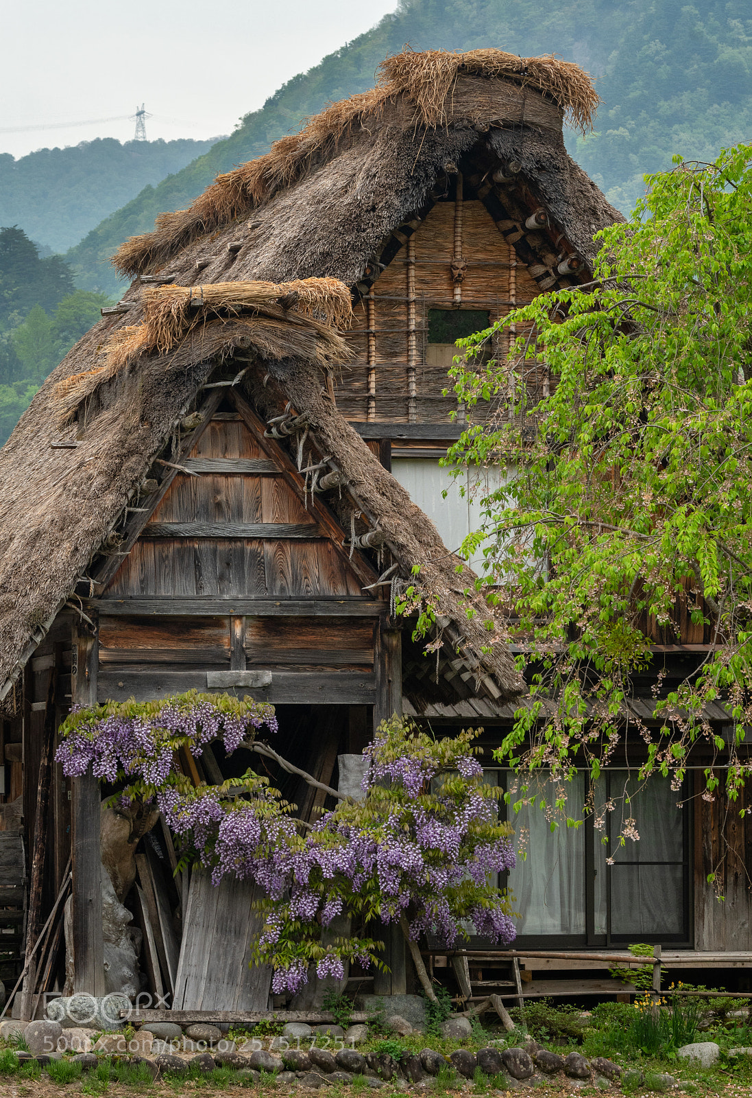 Nikon D500 sample photo. Spring in shirakawa-go photography