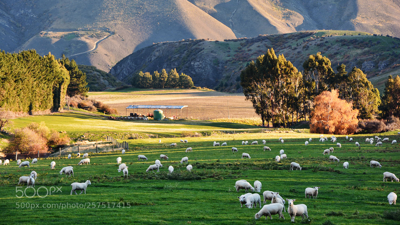 Nikon D7100 sample photo. Country life photography