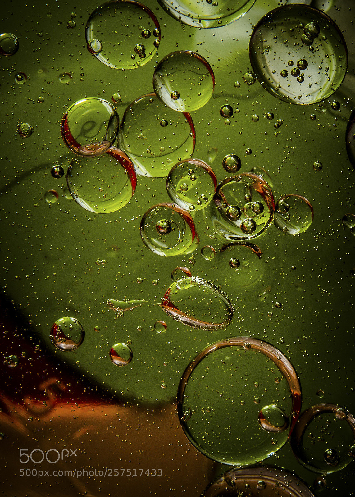 Canon EOS 60D sample photo. Oils photography
