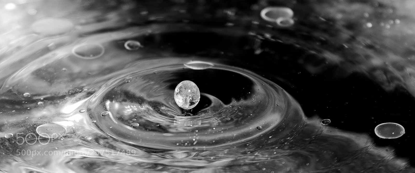 Canon EOS 60D sample photo. Oils photography