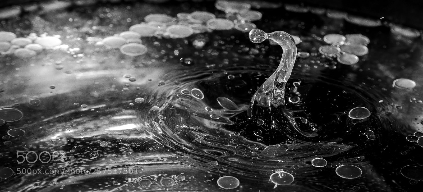 Canon EOS 60D sample photo. Oils photography