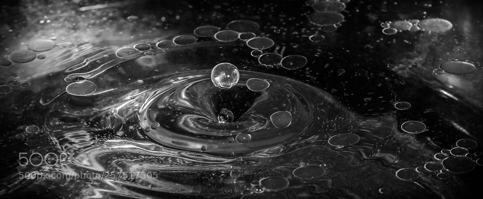 Canon EOS 60D sample photo. Oils photography