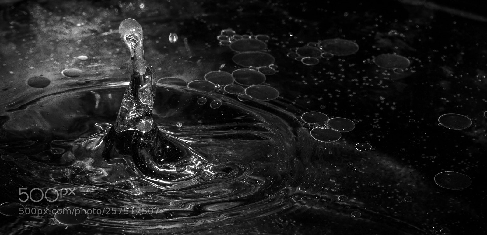 Canon EOS 60D sample photo. Oils photography