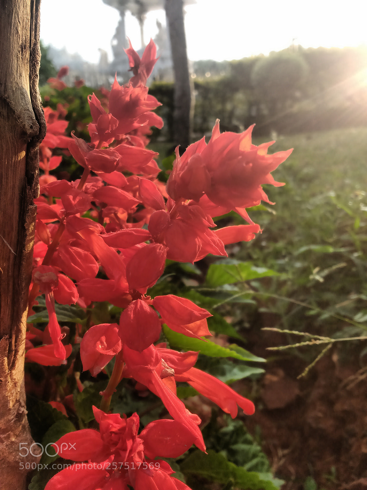 Motorola MotoG3 sample photo. Untitled photography