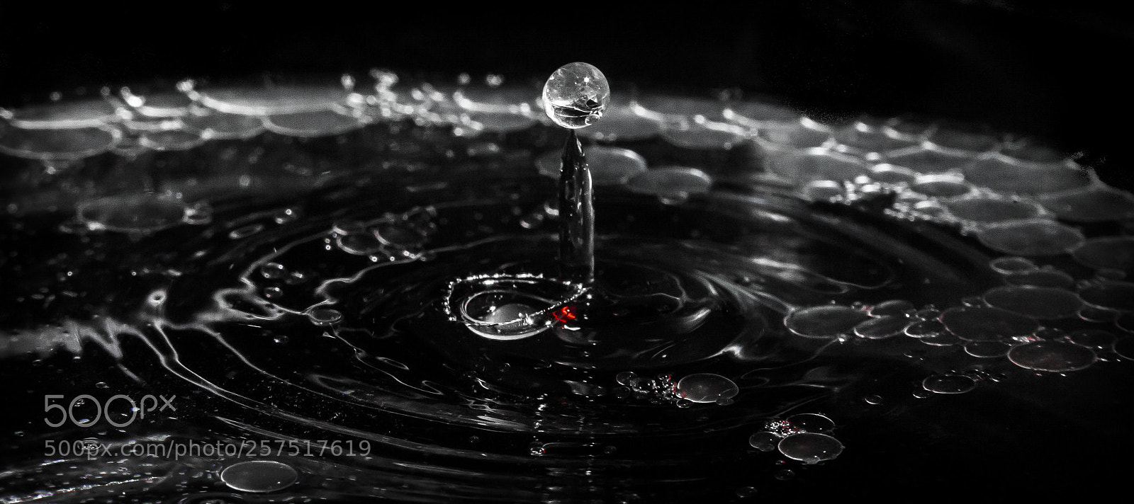 Canon EOS 60D sample photo. Oils photography