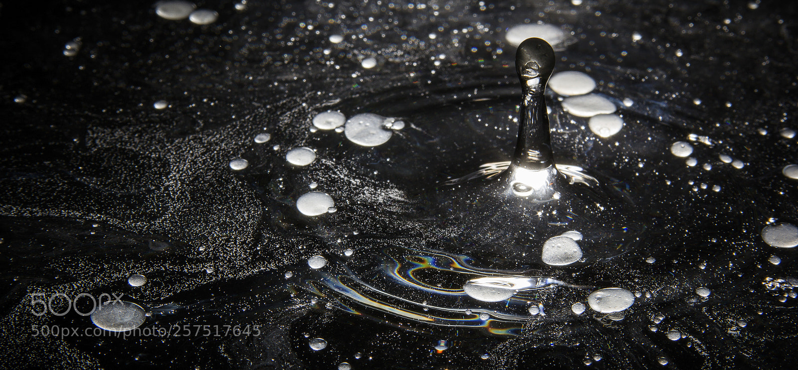 Canon EOS 60D sample photo. Oils photography