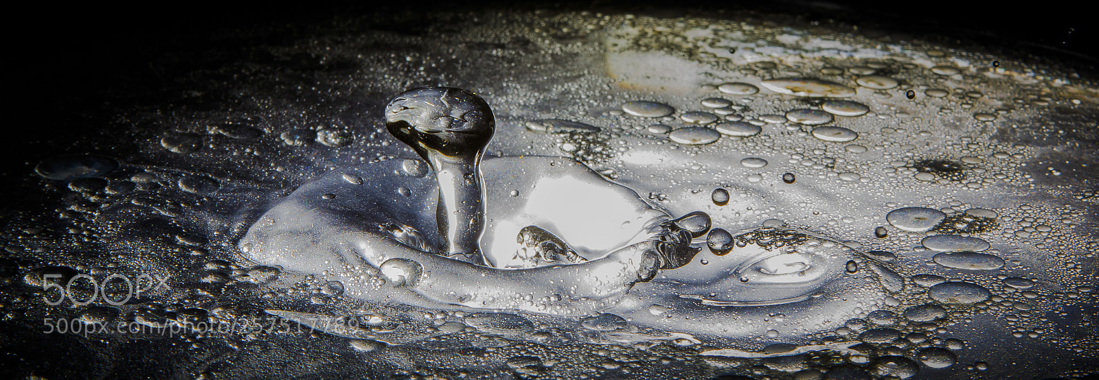Canon EOS 60D sample photo. Oils photography