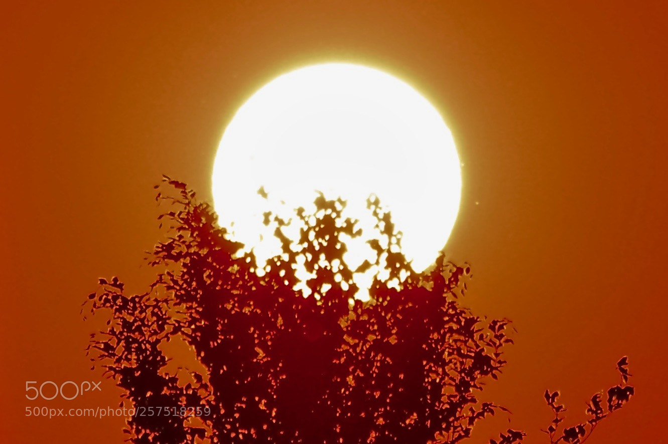 Nikon D3200 sample photo. Sunset photography