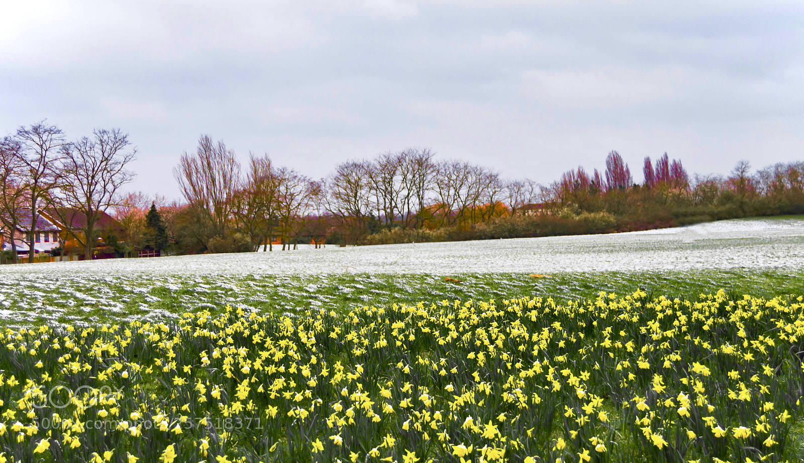 Nikon D3200 sample photo. Snow in spring photography