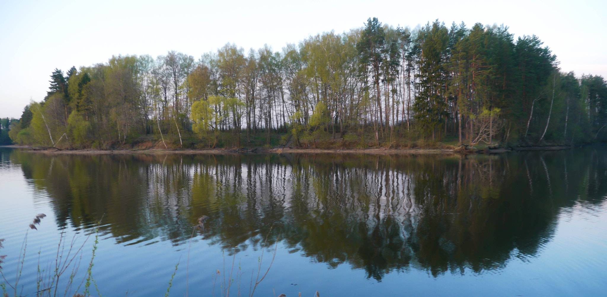 Panasonic Lumix DMC-GH1 sample photo. Лес photography