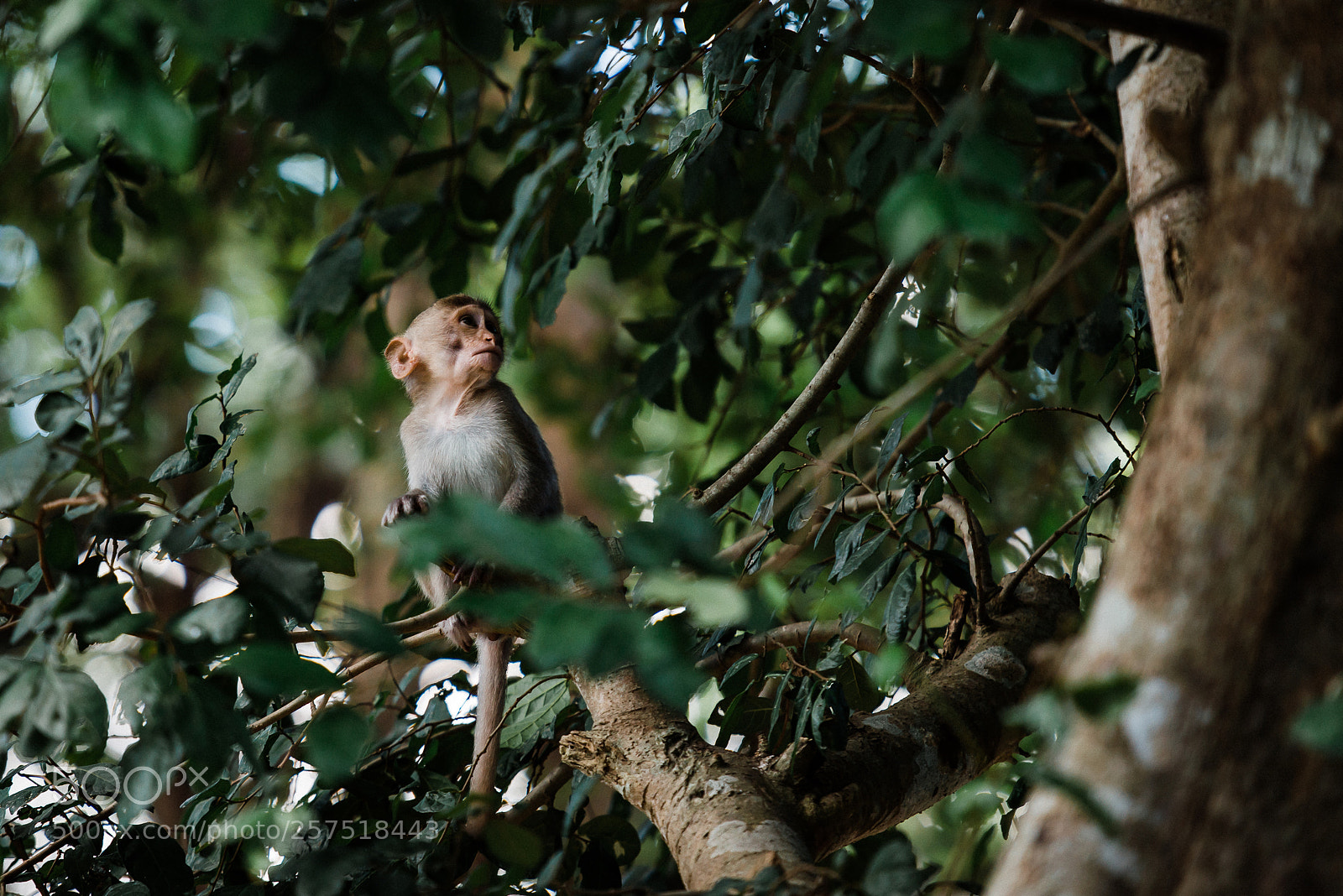 Nikon D800E sample photo. Untitled photography