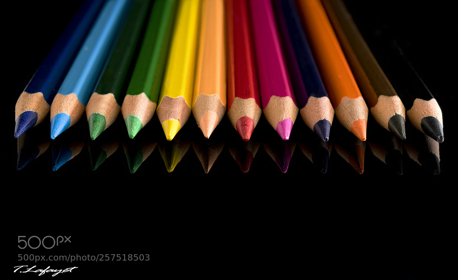 Nikon D3300 sample photo. Multicolor photography