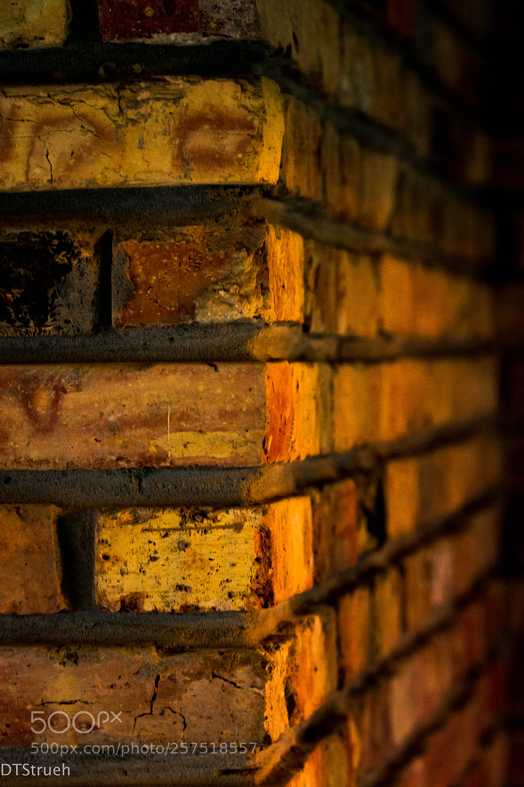 Nikon D7200 sample photo. Last rays of sun photography