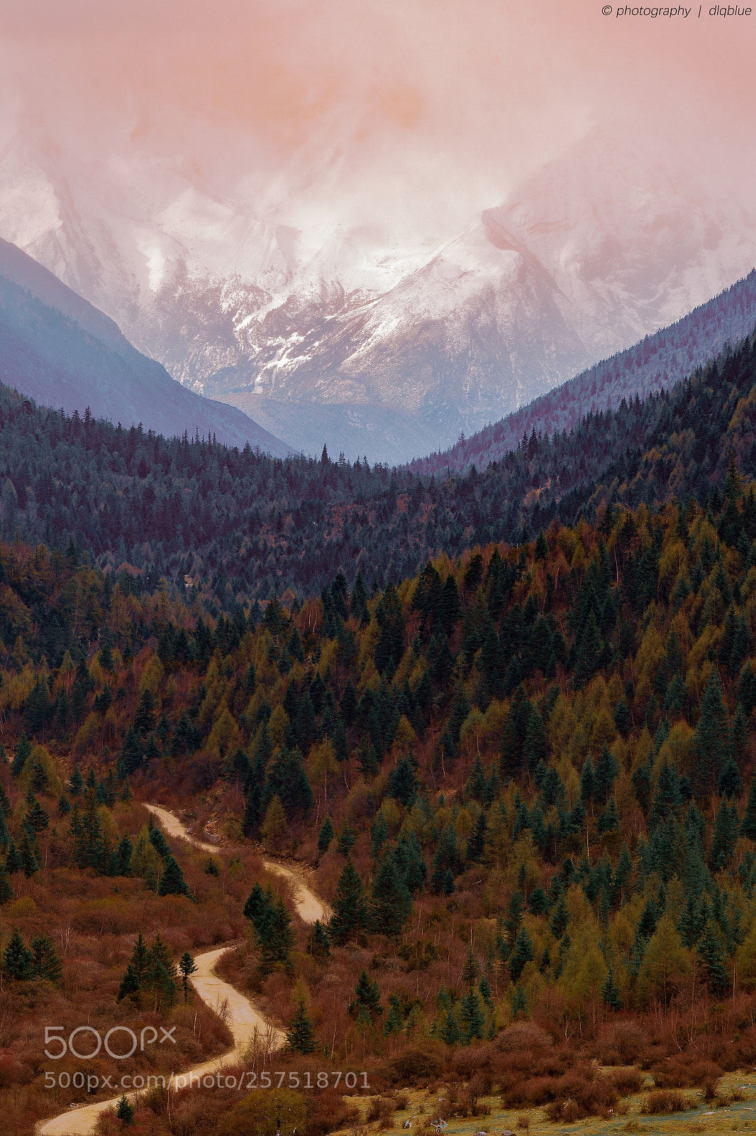 Nikon D800 sample photo. 雅拉雪山 photography