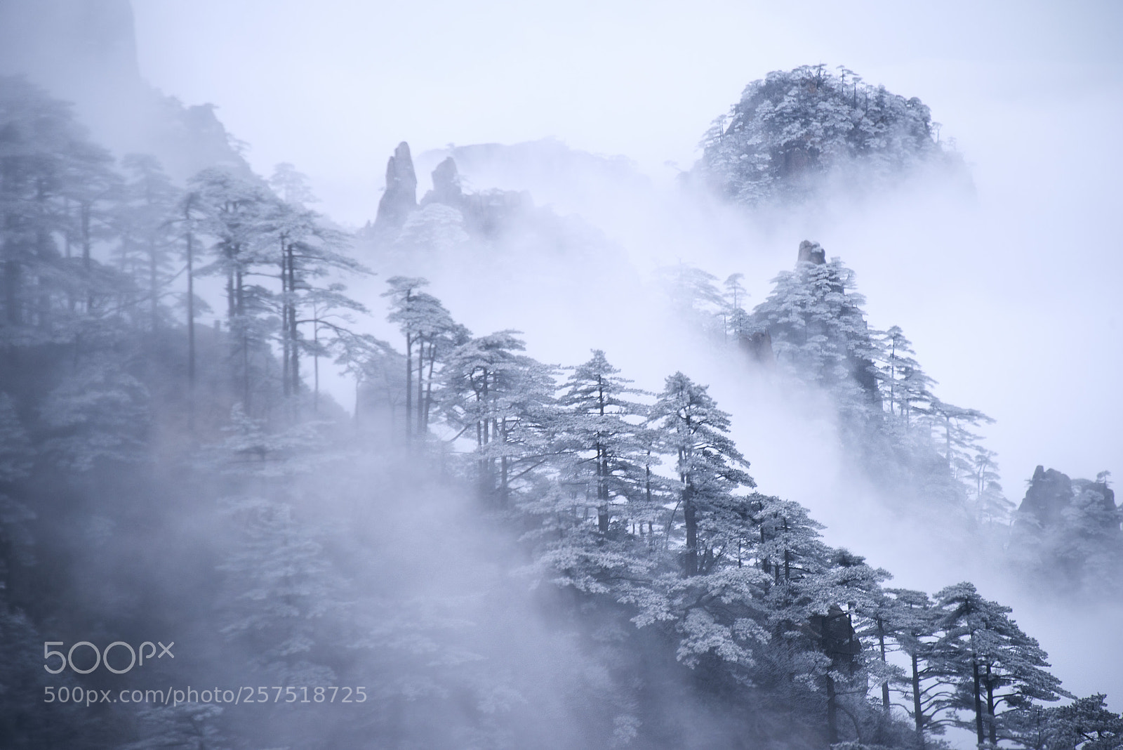 Nikon D810 sample photo. 黄山冬日 photography