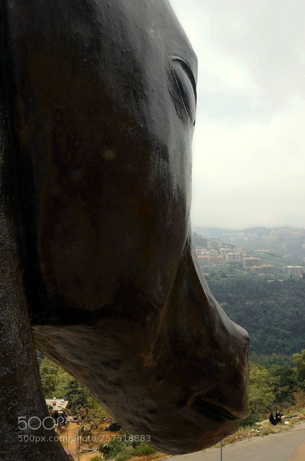 Nikon D7000 sample photo. Black horse photography