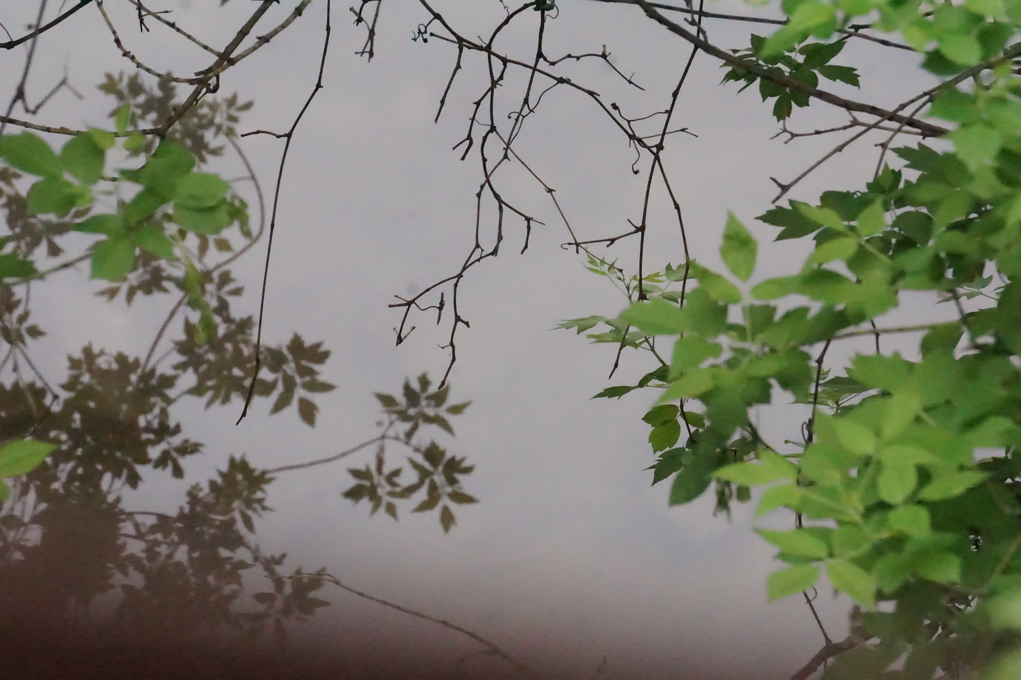 Sony E 55-210mm F4.5-6.3 OSS sample photo. Lake photography
