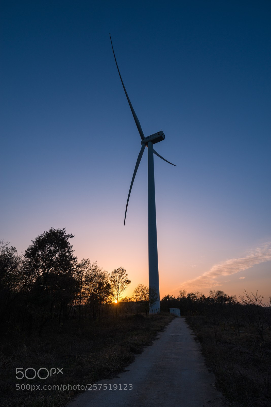 Nikon D800 sample photo. The windmill at sunset photography