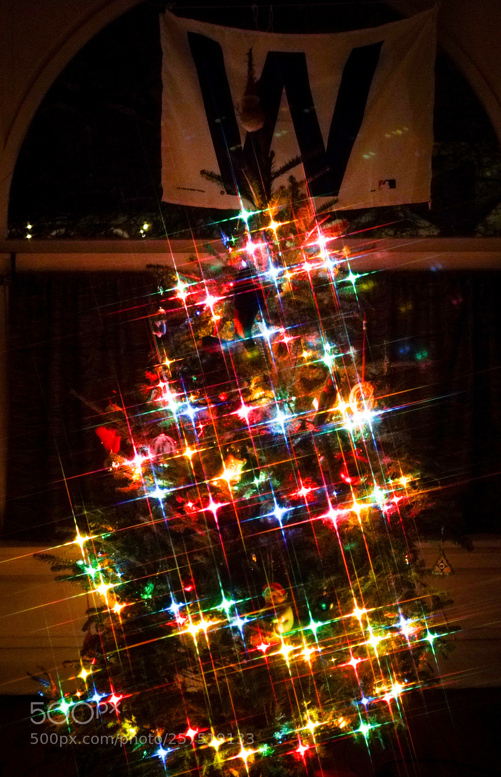 Fujifilm FinePix X100 sample photo. On the eighth day photography
