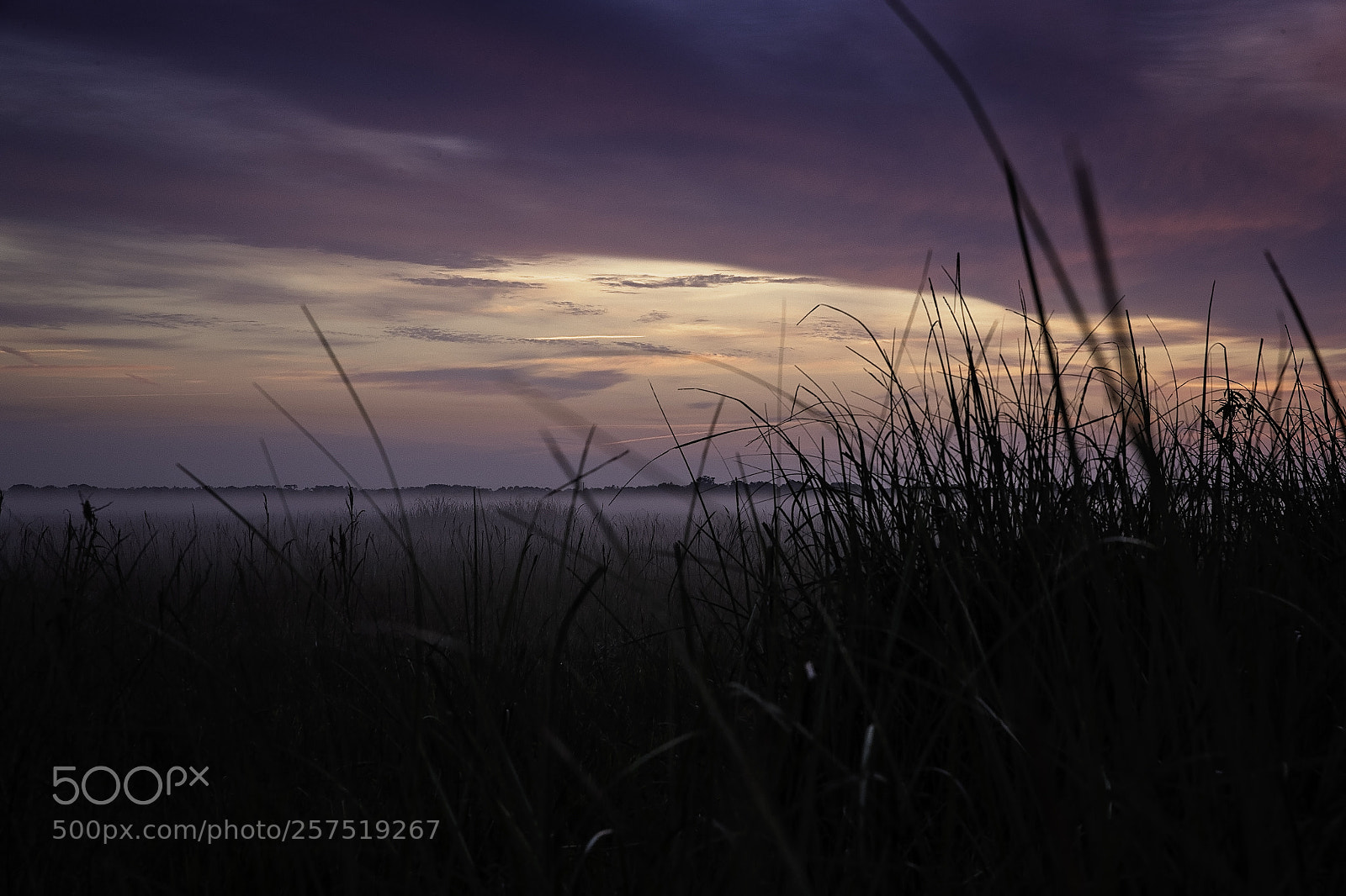 Canon EOS-1D X Mark II sample photo. The break of dawn photography