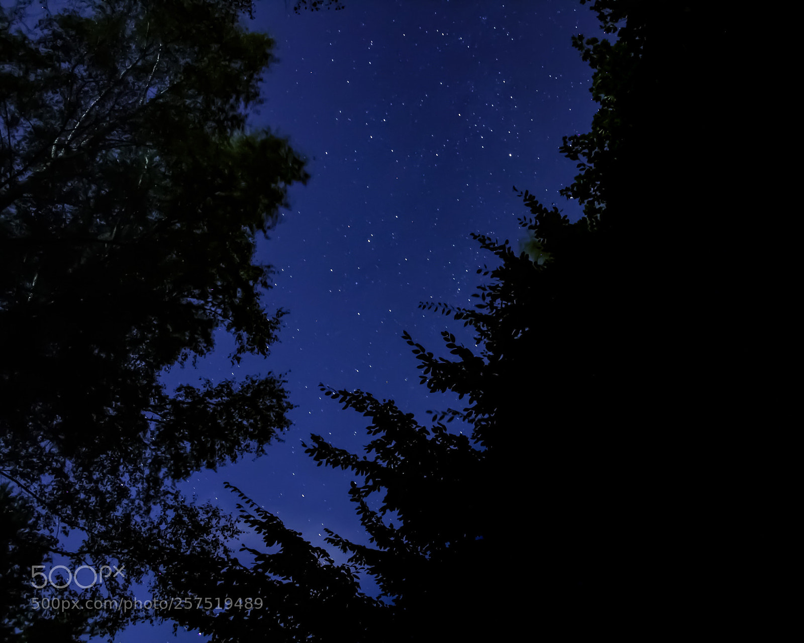 Canon EOS 1000D (EOS Digital Rebel XS / EOS Kiss F) sample photo. Sky at night photography