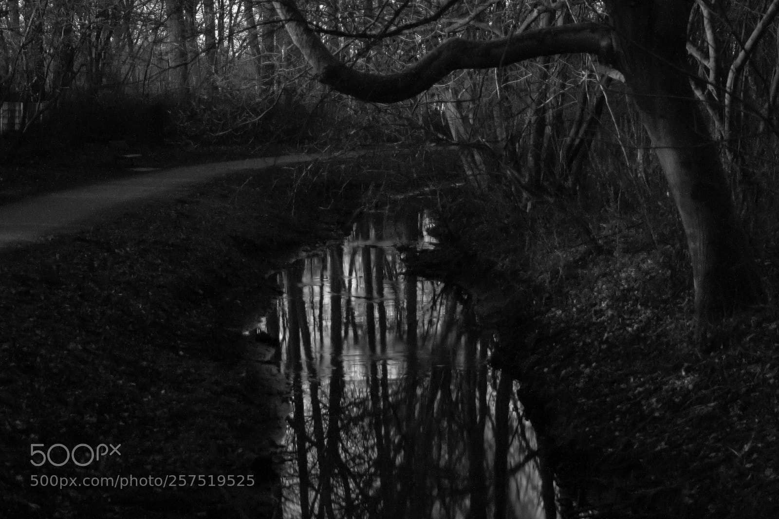 Canon EOS 1000D (EOS Digital Rebel XS / EOS Kiss F) sample photo. Creek at night photography