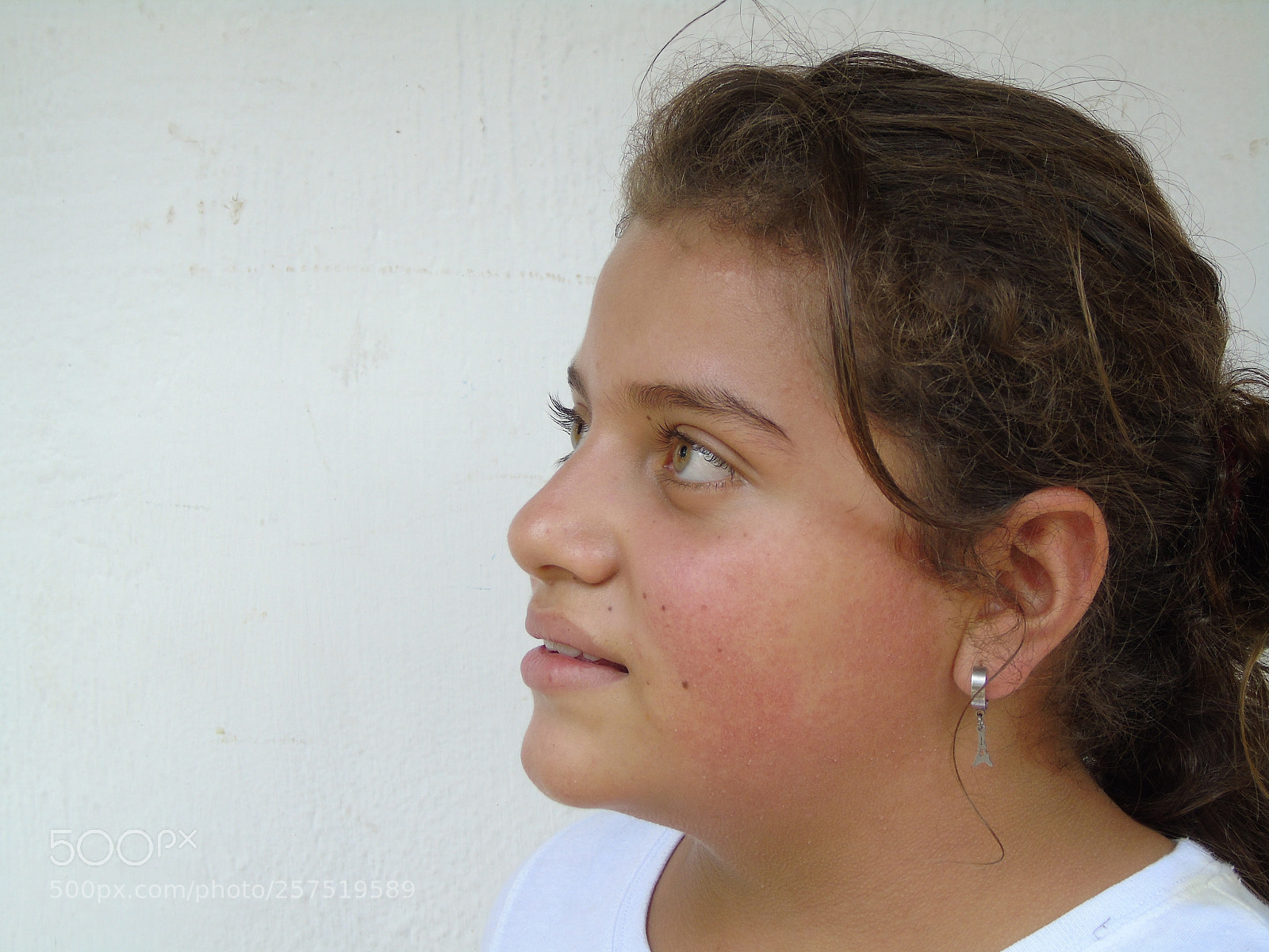 Sony Cyber-shot DSC-H400 sample photo. Ley de mirada photography