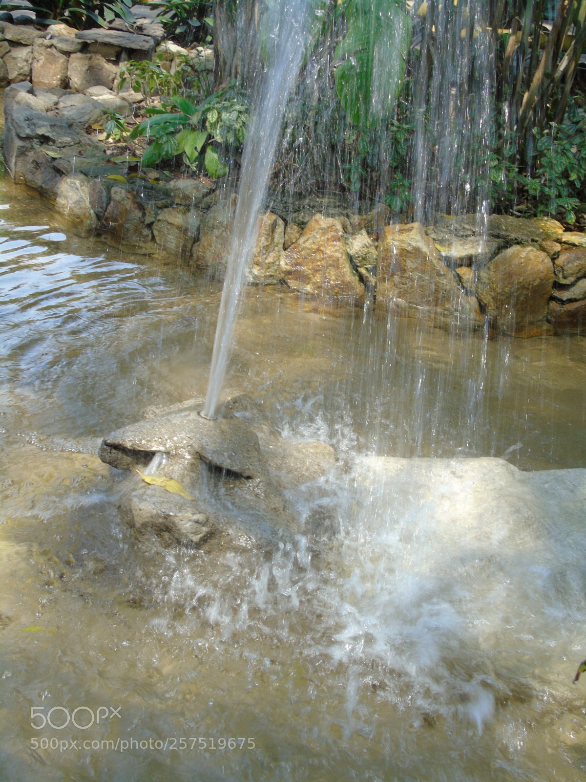 Sony Cyber-shot DSC-H400 sample photo. Congelado de imagen photography