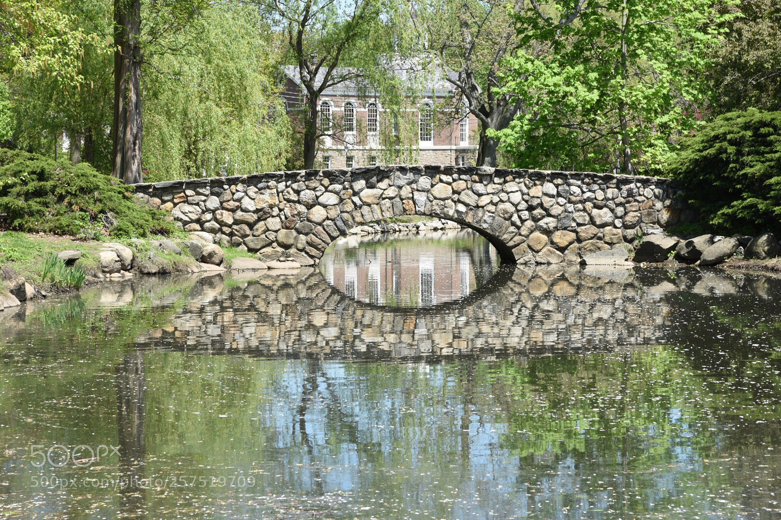 Nikon D750 sample photo. Binney park old greenwich photography