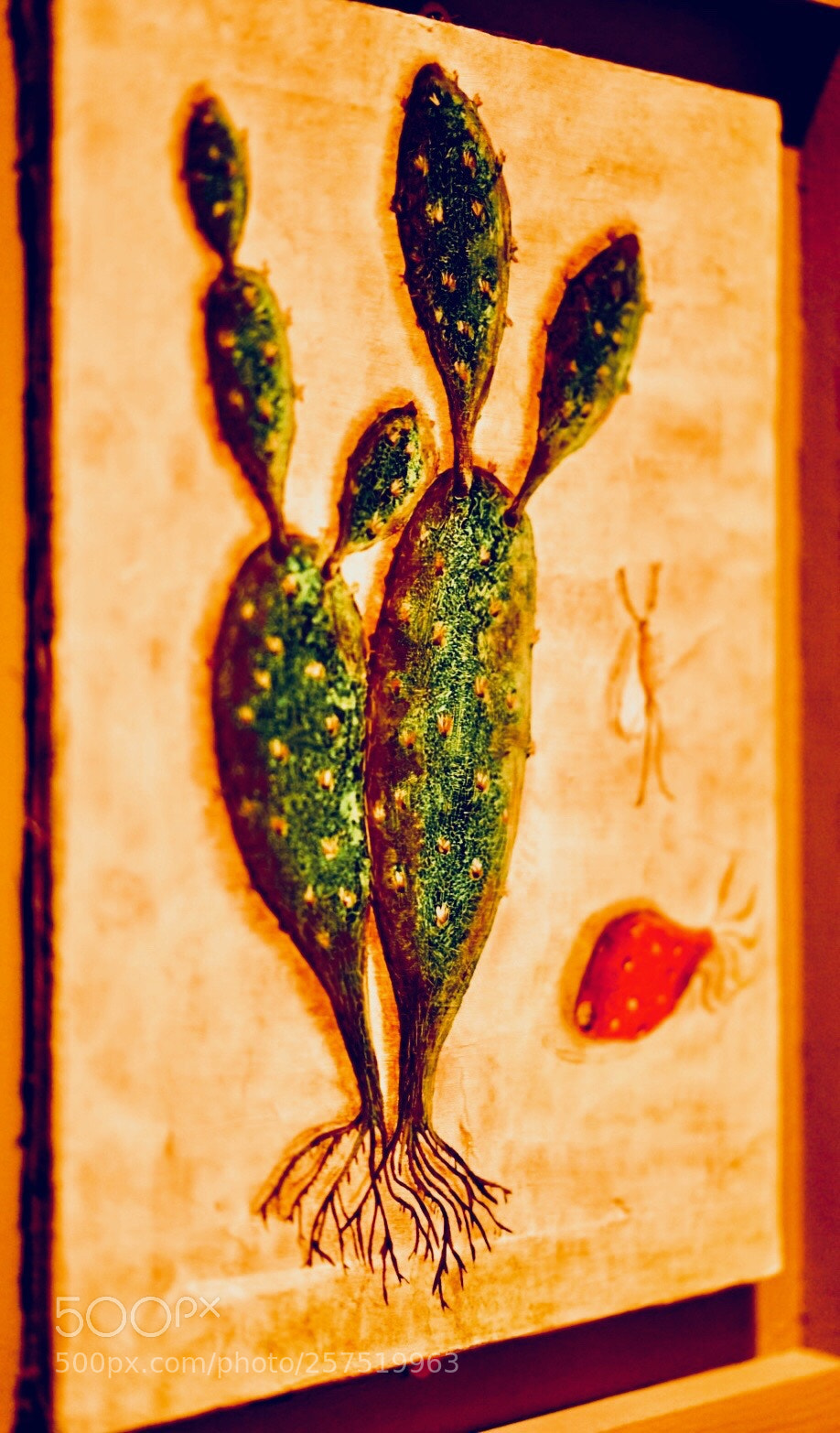 Sony a7 II sample photo. Cactus art de nopales photography