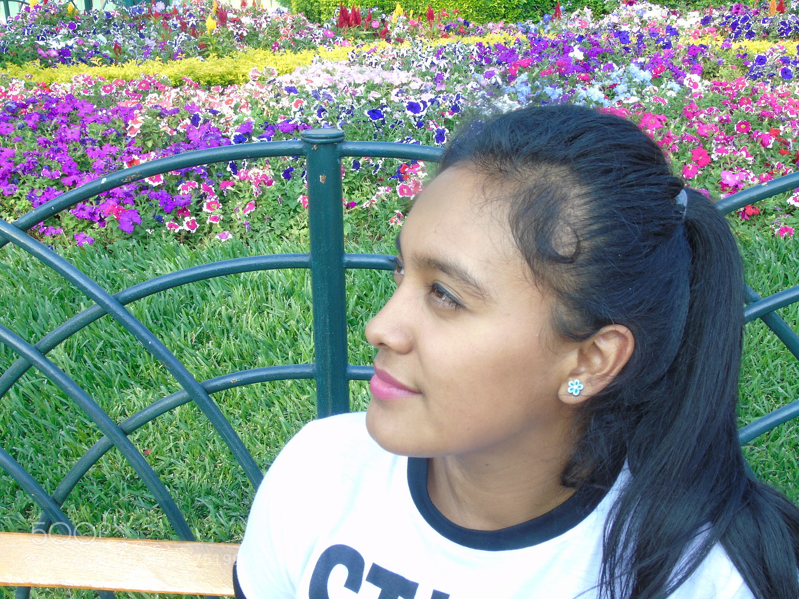 Sony Cyber-shot DSC-H400 sample photo. Ley de tercios photography