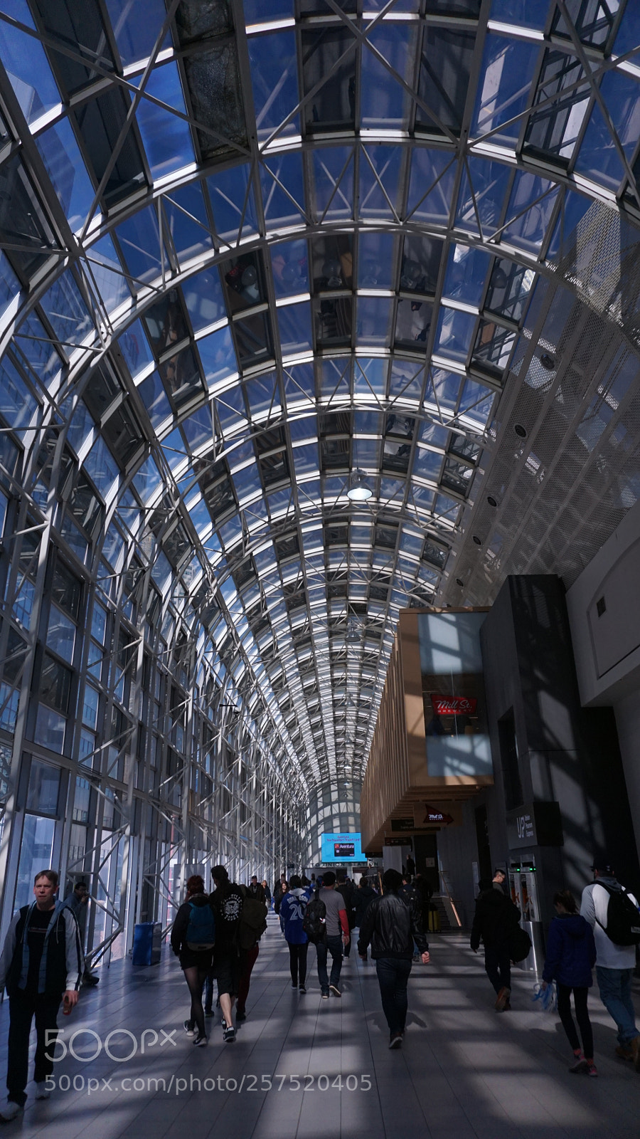 Sony a6000 sample photo. The walkway photography