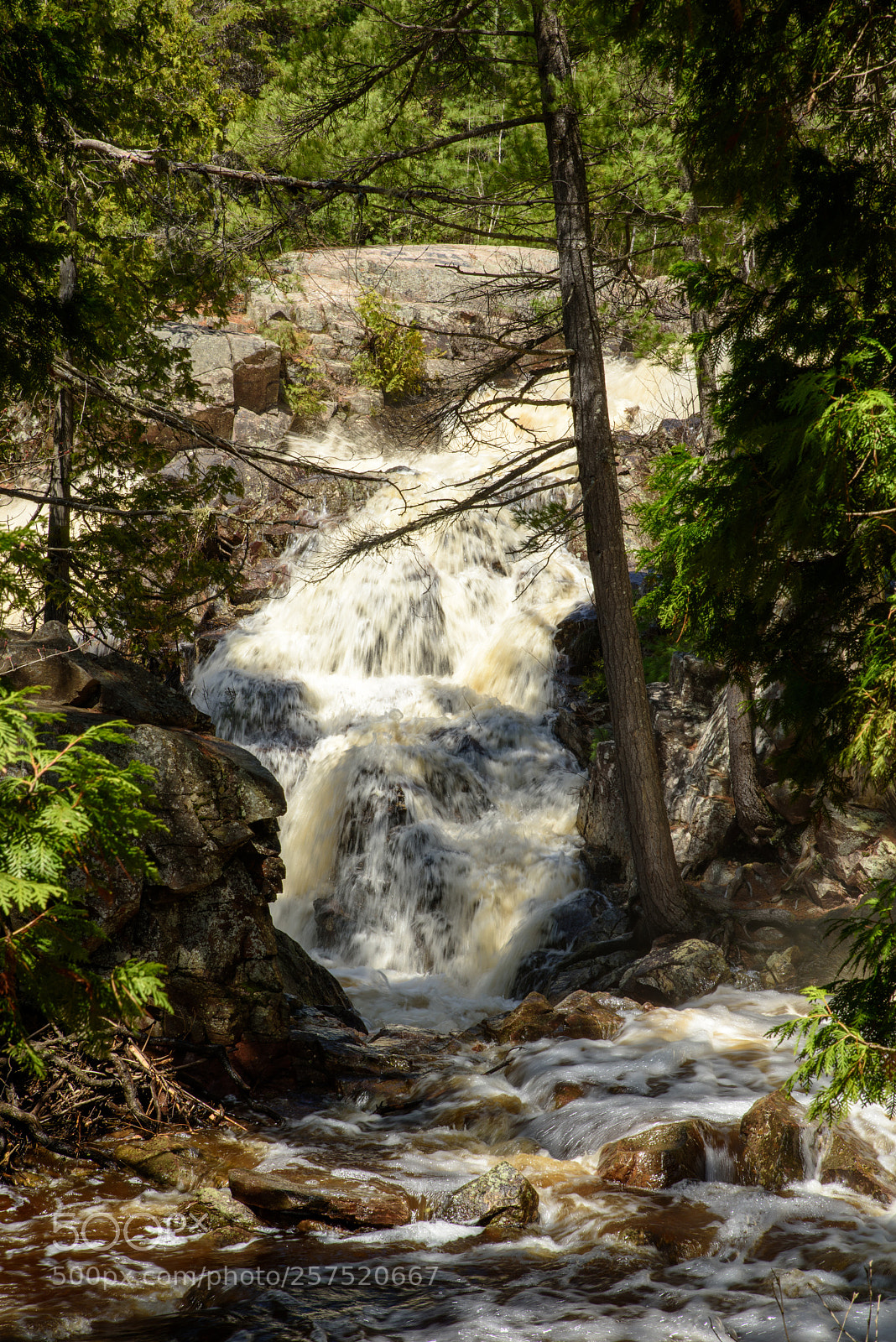 Nikon D810 sample photo. The way of the photography