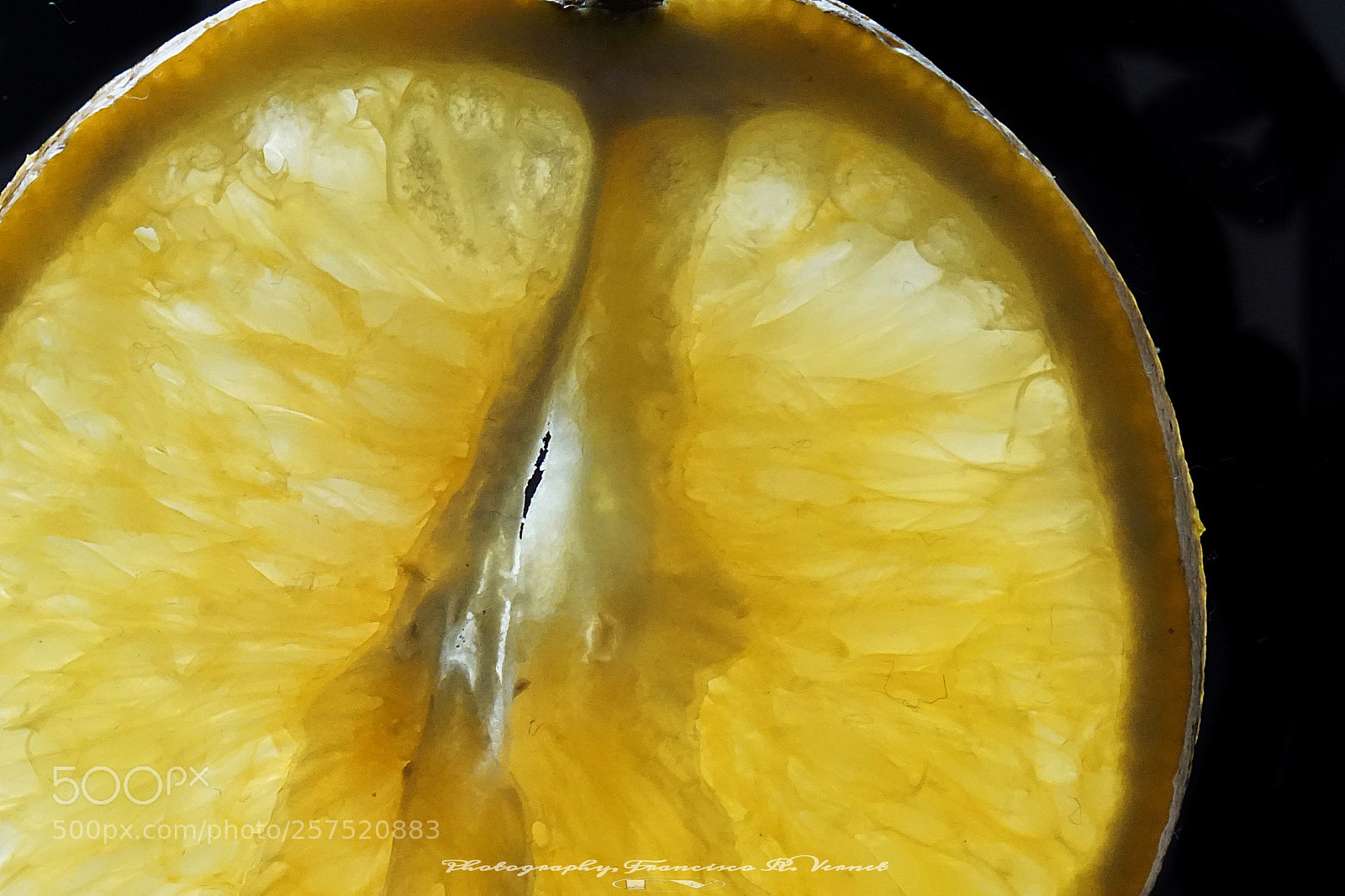 Sony a6000 sample photo. An orange.... dissection photography