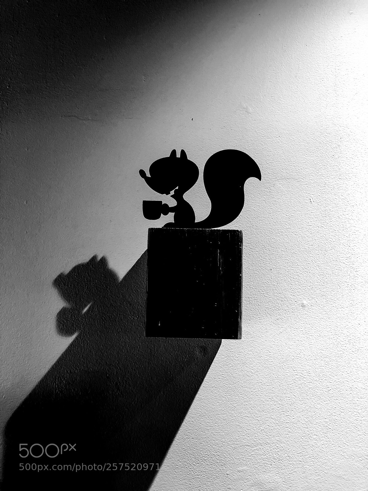 Apple iPhone 8 Plus sample photo. Squirrel  photography