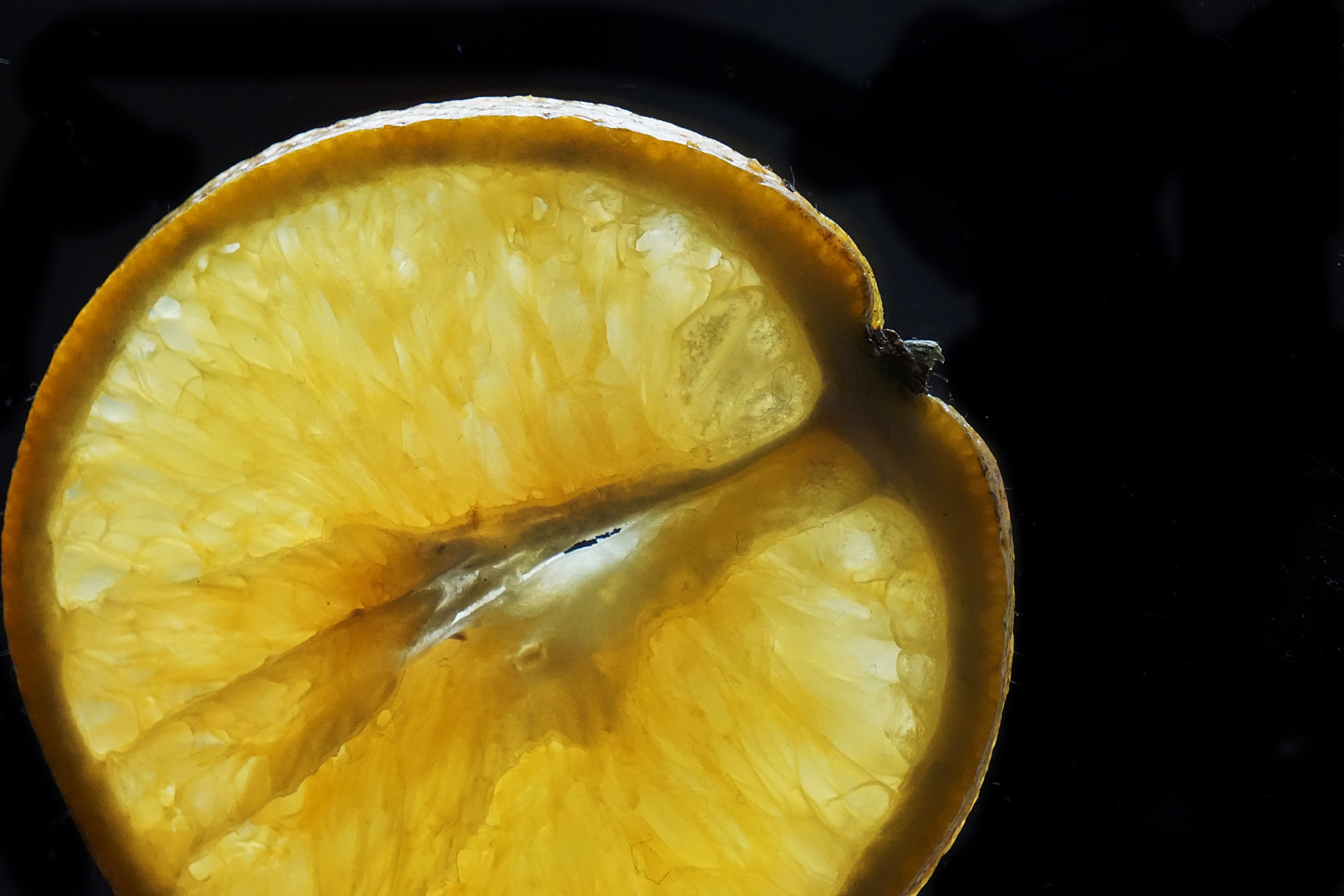 Sony E 55-210mm F4.5-6.3 OSS sample photo. An orange.... dissection photography