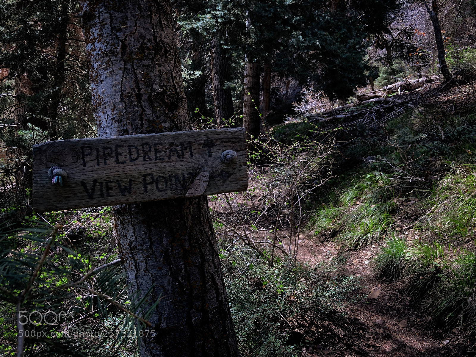Apple iPhone 8 sample photo. Hiking to the pipe photography