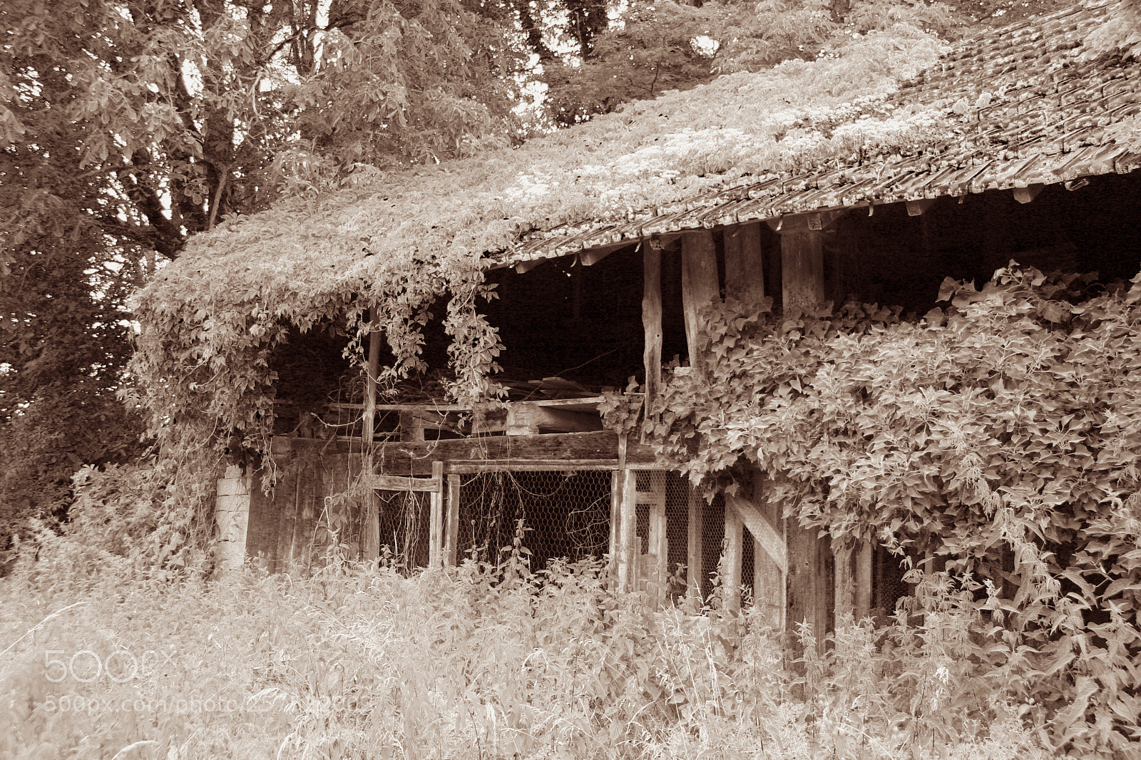 Canon EOS 20D sample photo. Old barn sepia photography