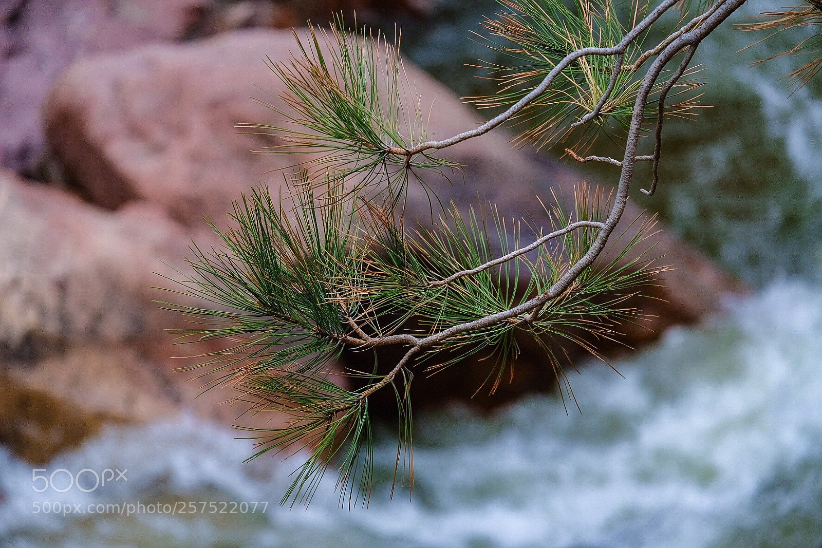 Fujifilm X-H1 sample photo. Eldorado canyon, boulder, co  photography