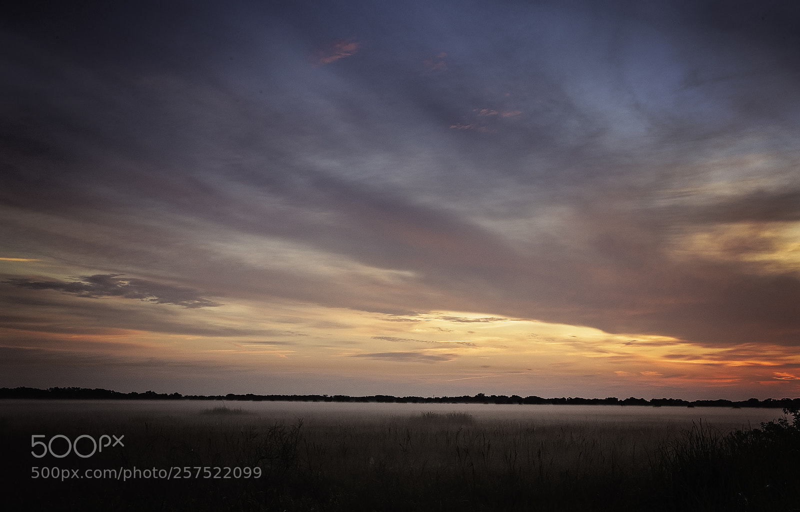 Canon EOS-1D X Mark II sample photo. Dawn photography