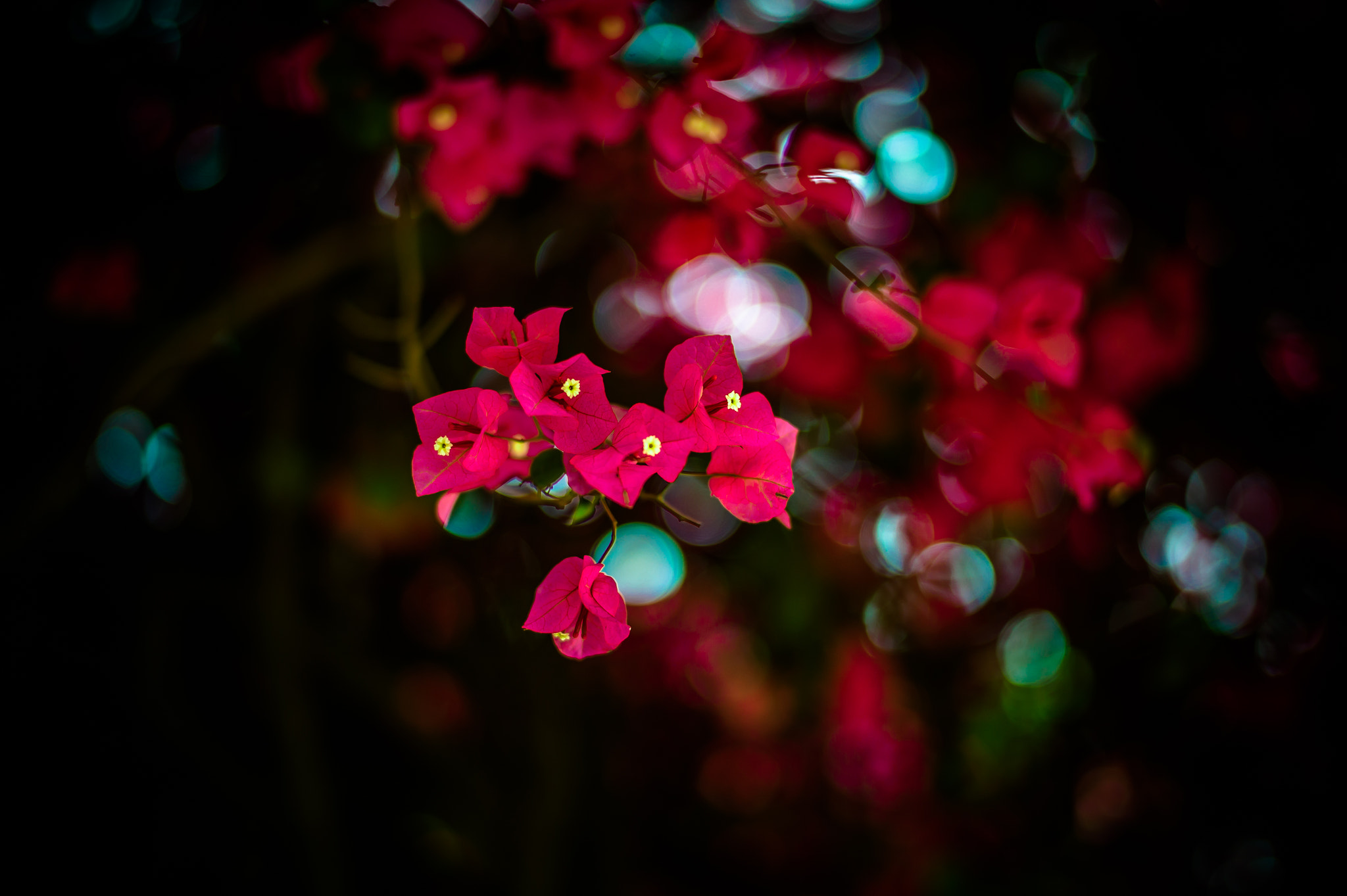 Leica M9 sample photo