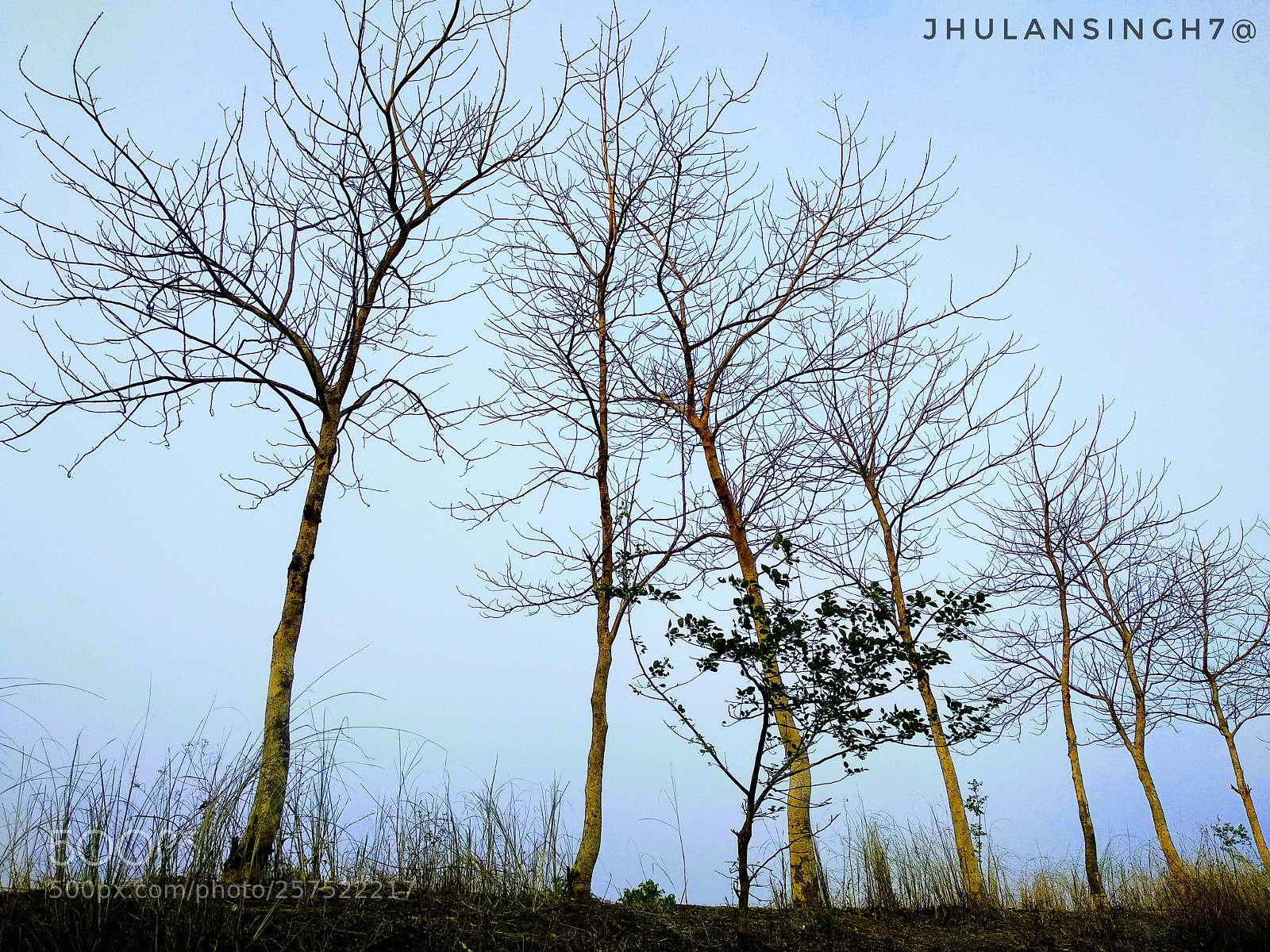 Xiaomi Mi A1 sample photo. Untitled photography
