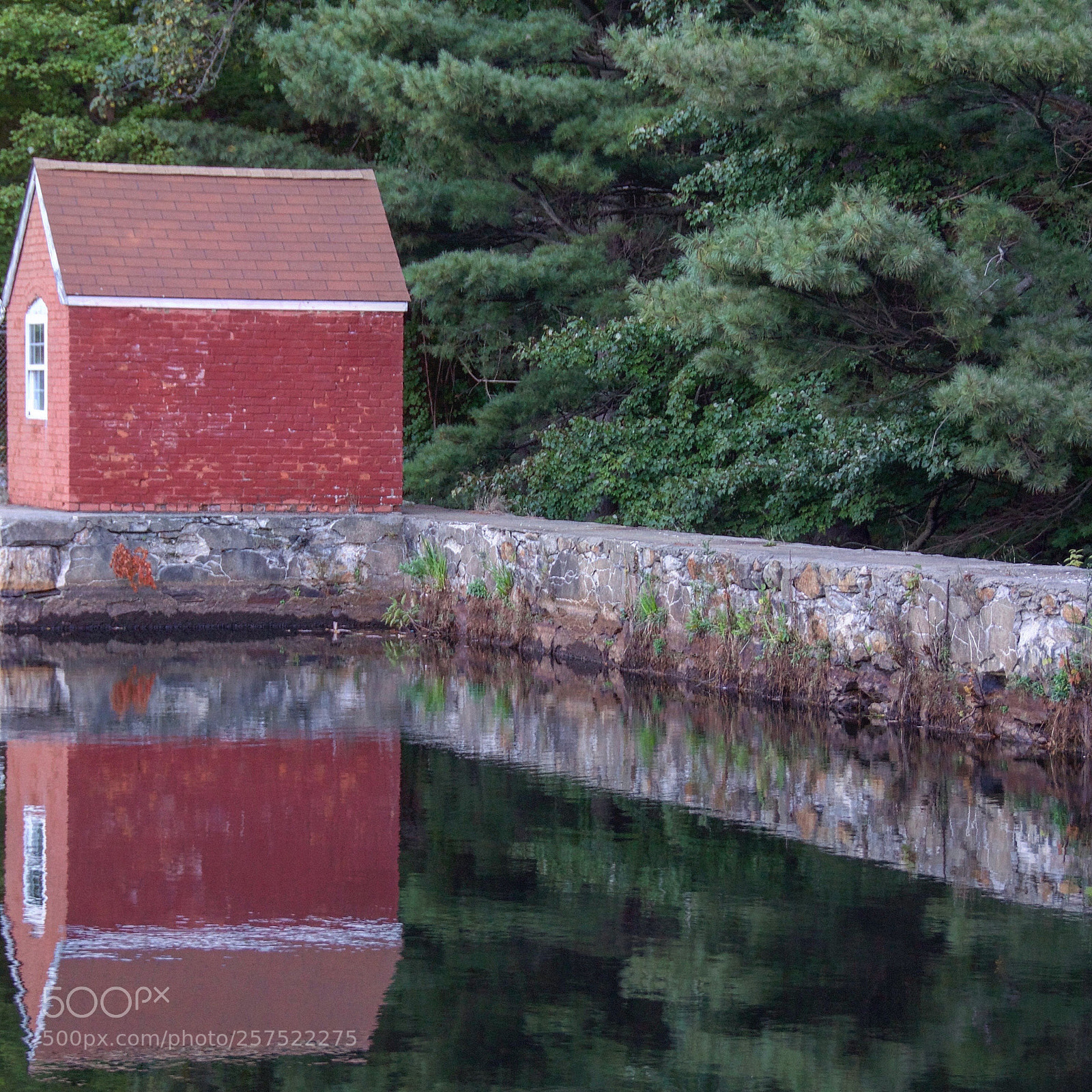 Nikon D5100 sample photo. Red house reflection photography