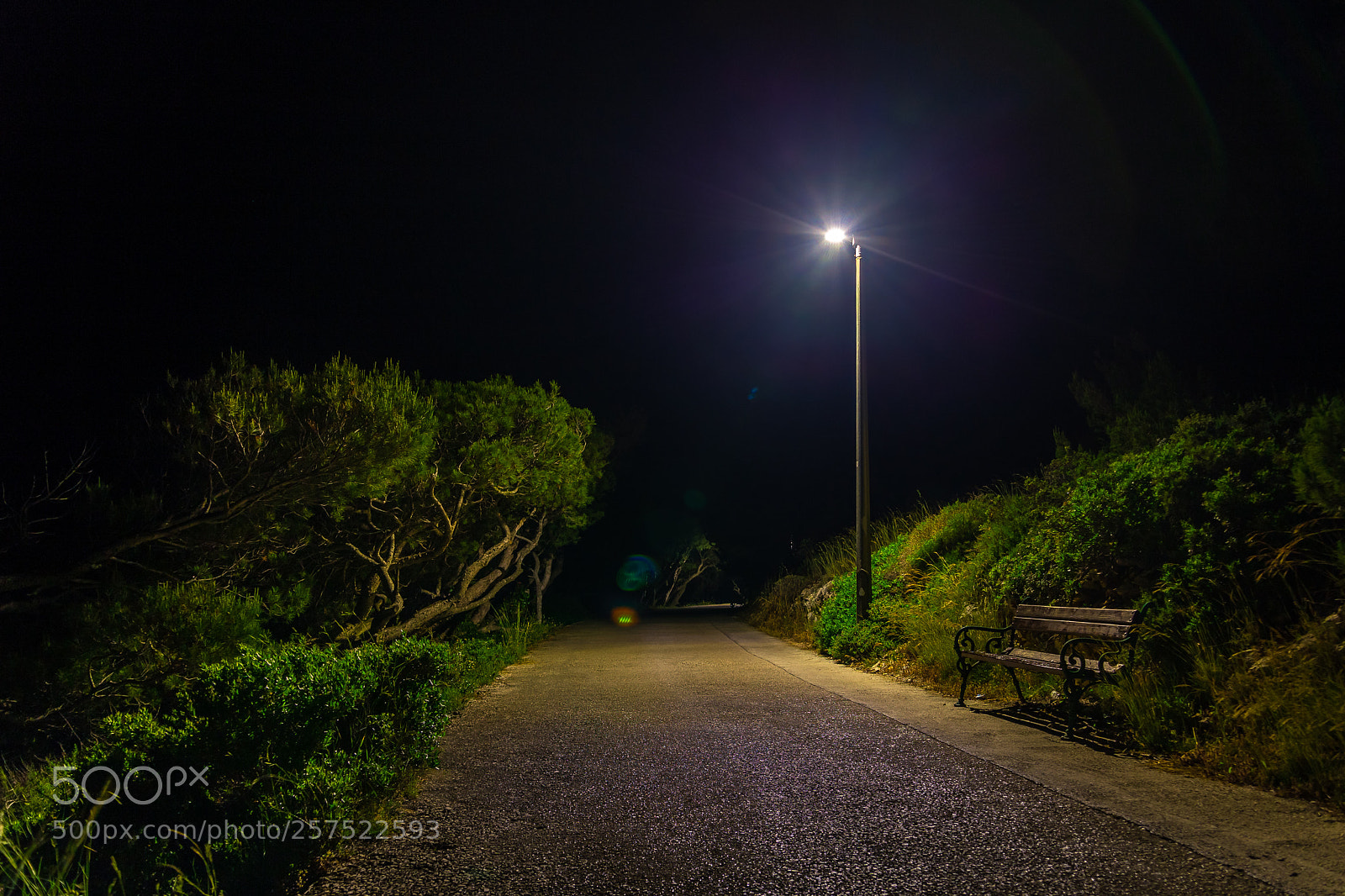 Canon EOS 6D sample photo. Night road in hvar photography
